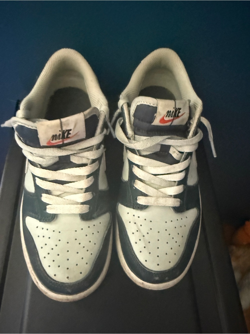 Nike Dunk Low GS “Deep Jungle size 4.5Y
